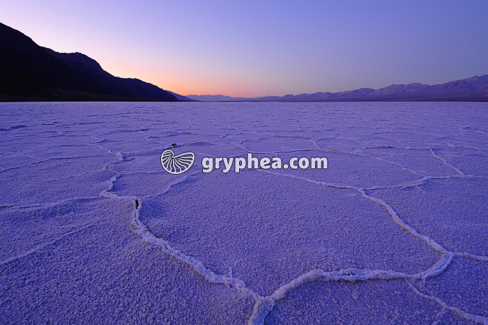 Vallée de la Mort (Death Valley NP, Californie, USA) - gryphea.org